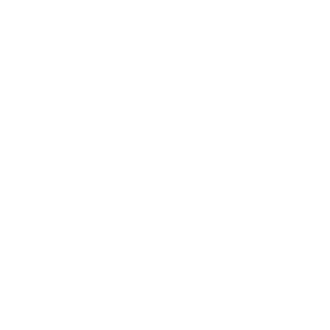 boss